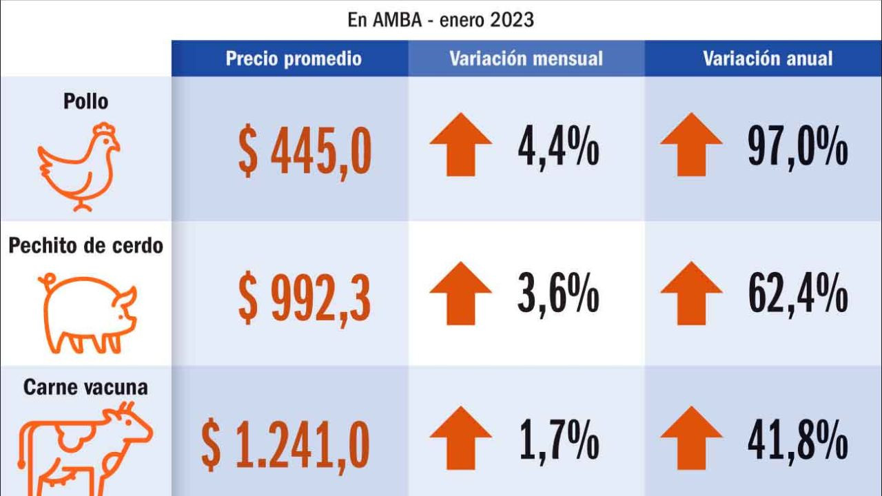 Alza En El Precio De La Carne En Argentina Para El 2024 XanCouso