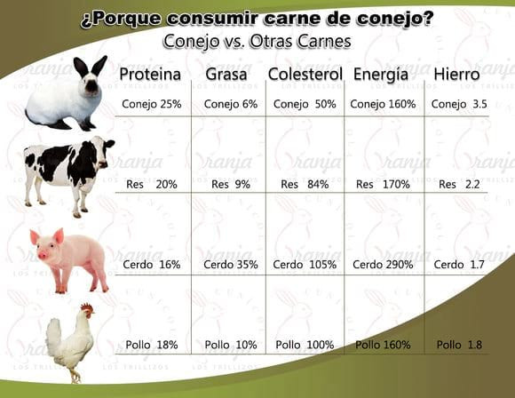 Comparativa Carne De Conejo Vs Otras Opciones De Carne Xancouso