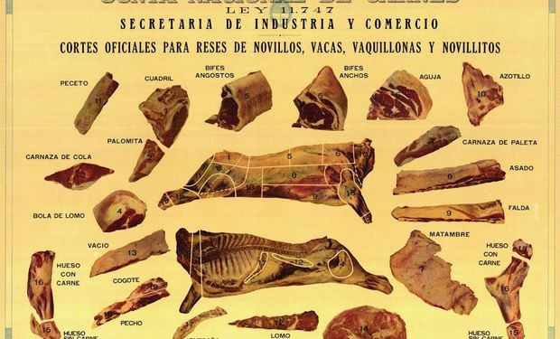 El Misterioso Mocho En La Carne Descubre Su Origen Y Caracter Sticas