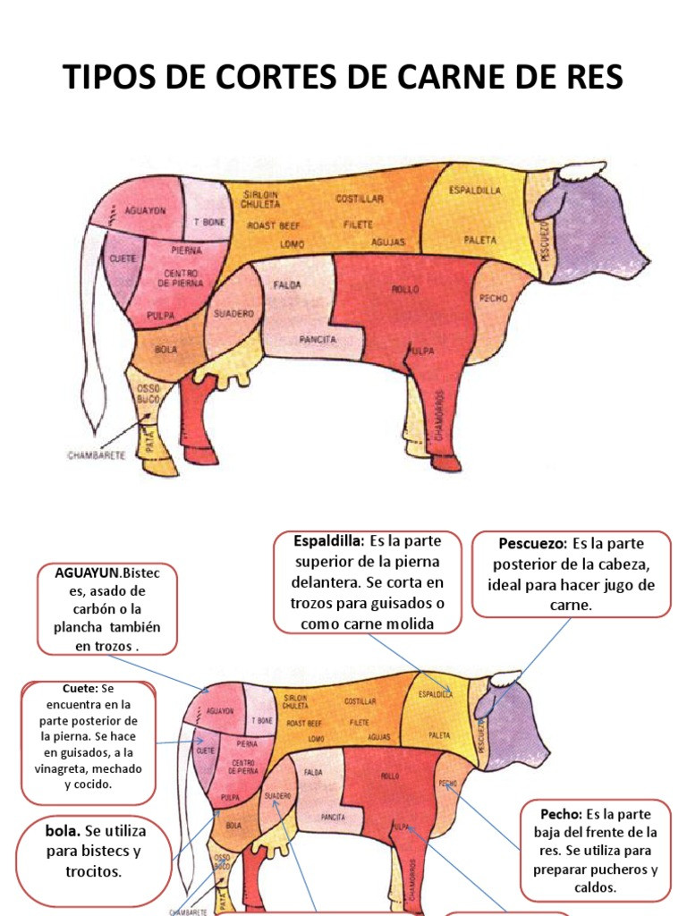 Guía Completa De Los Cortes De Carne De Res Conoce Sus Tipos Y Usos Xancouso